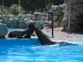 Marineland 075 * 640 x 480 * (92KB)